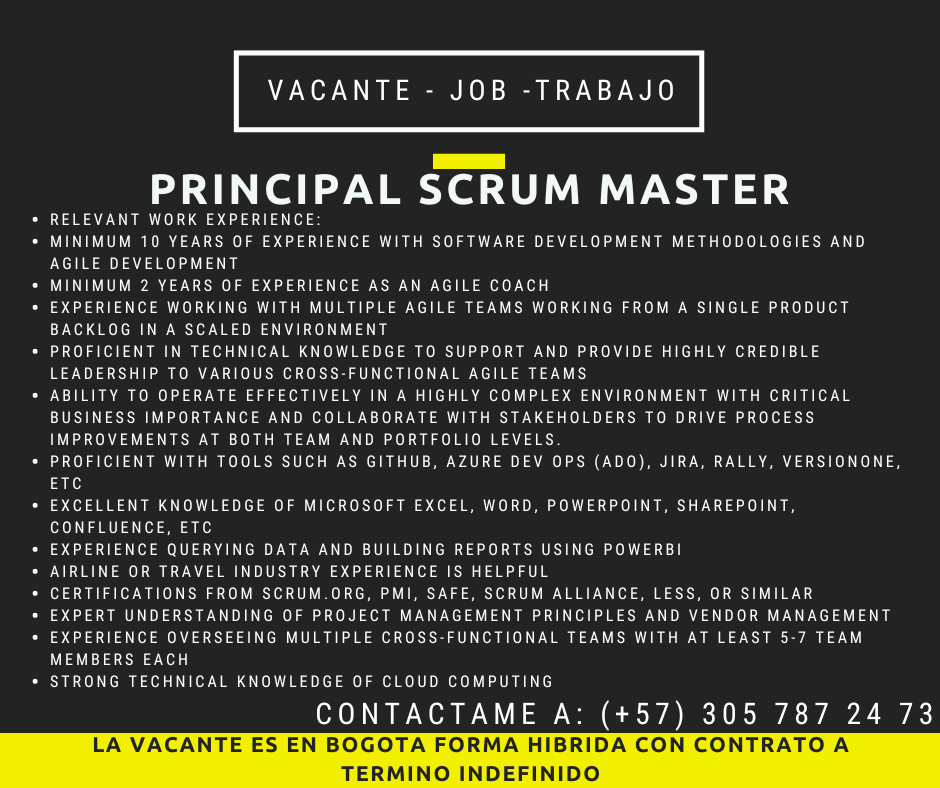 Principal Scrum Master JOB